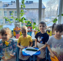 Огород на окне Огород на окне.