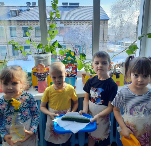 Огород на окне Огород на окне.